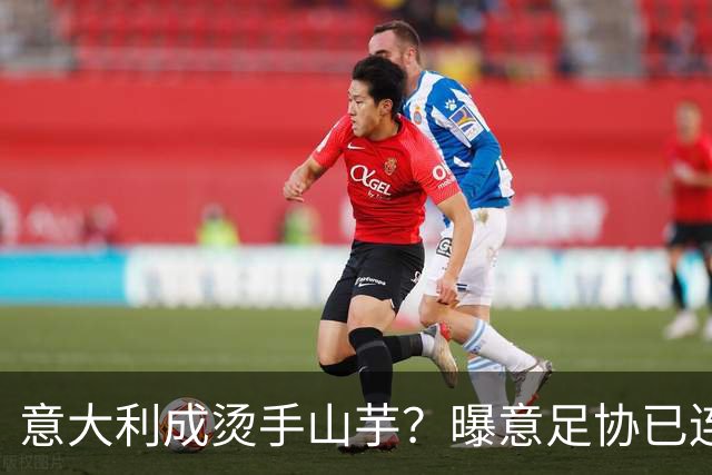 意大利成烫手山芋？曝意足协已连续发两个执教邀约，但均被拒绝